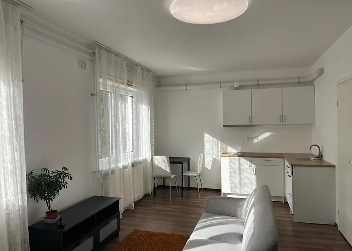 Majutus شقة Raasiku